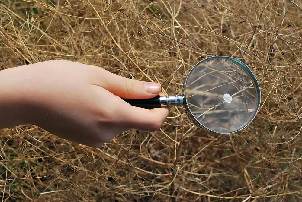 You are burning our future by Monica Gorini