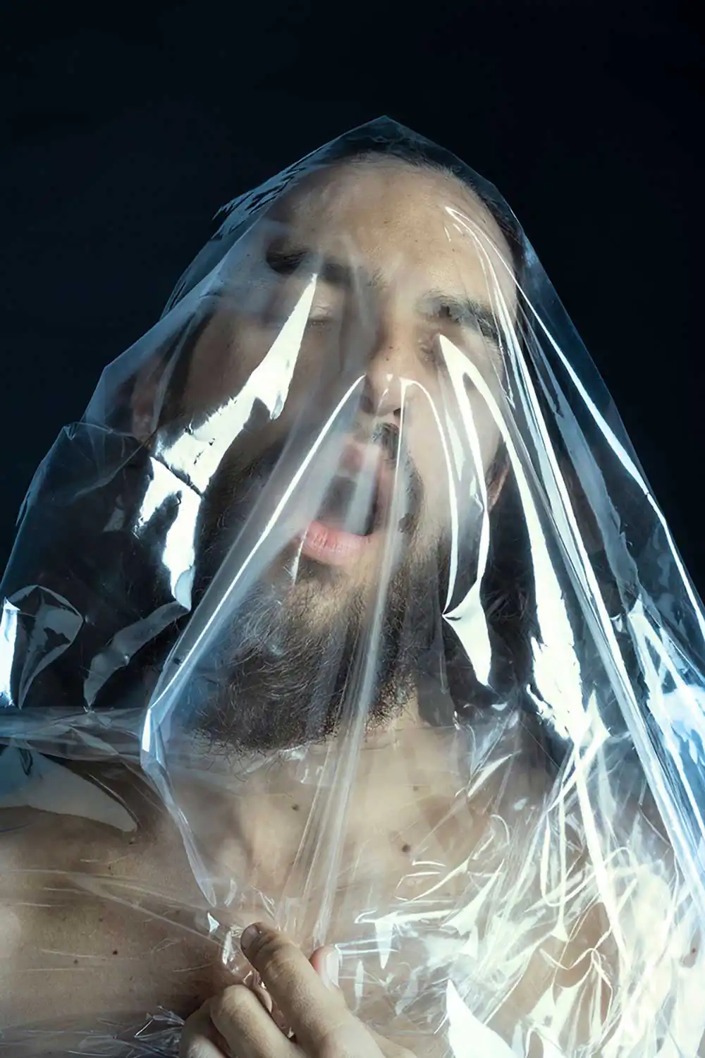 Chrysalis | Carlotta Gambato