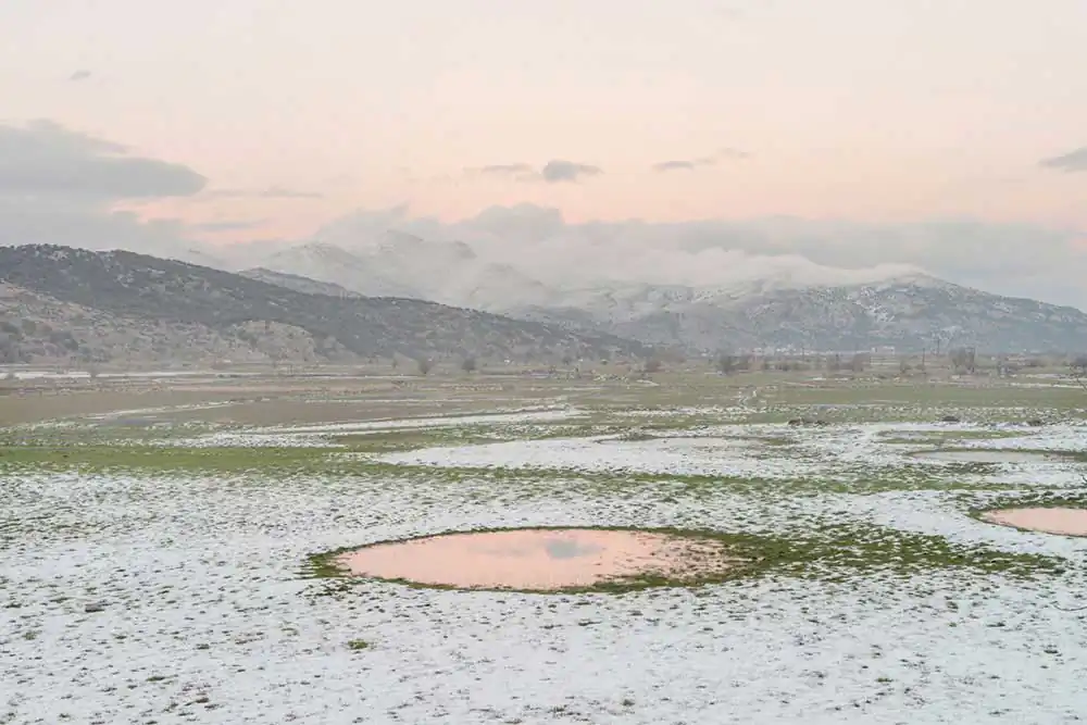 Cornucopia | Panos Charalampidis