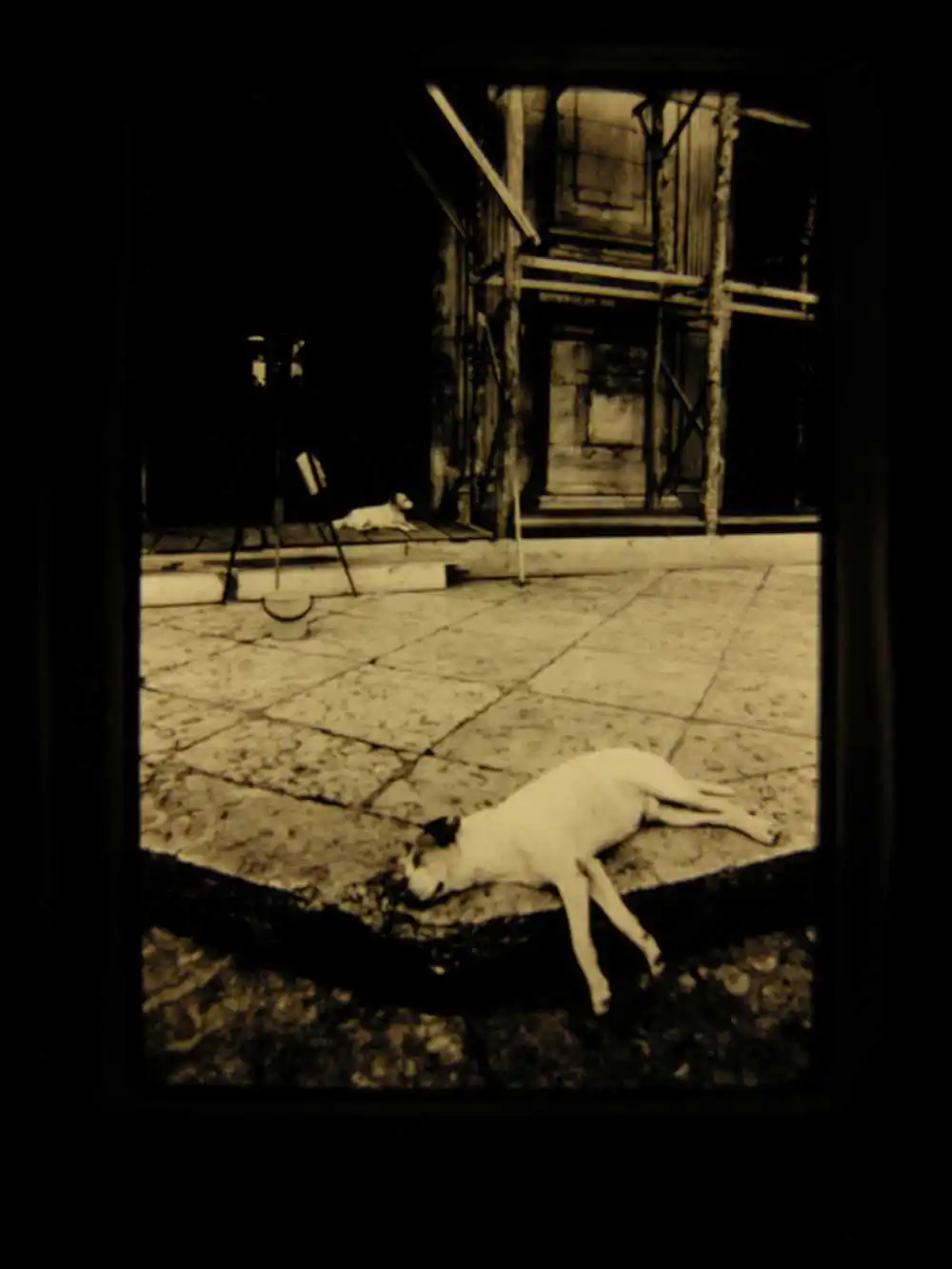 Truth is always stranger than fiction | Tontxi vazquez