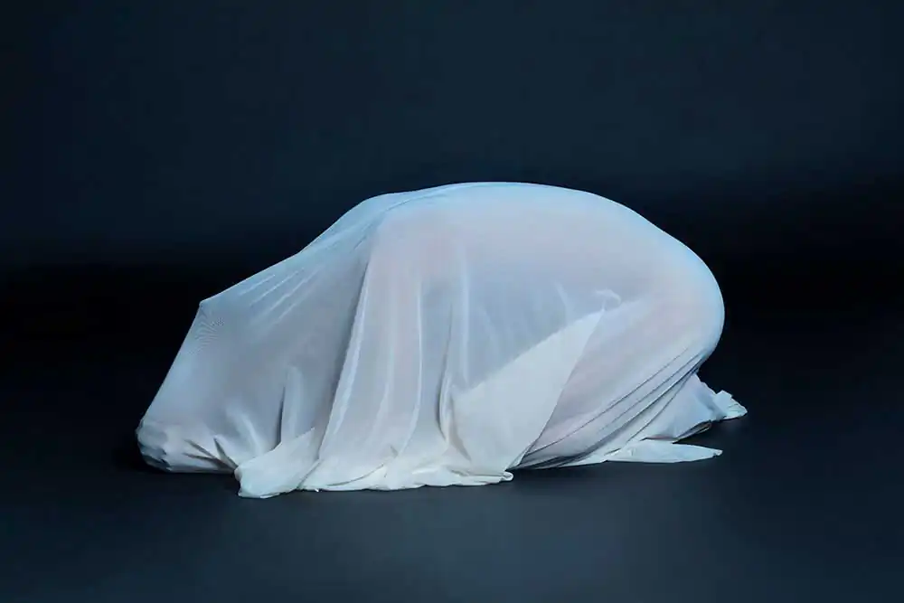 Chrysalis | Carlotta Gambato