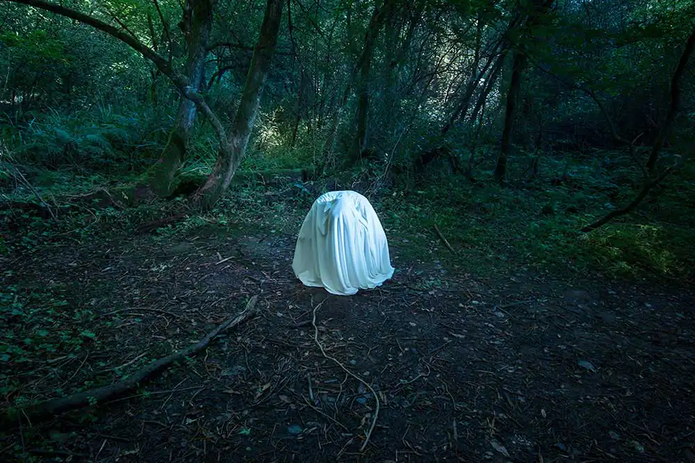 Chrysalis | Carlotta Gambato