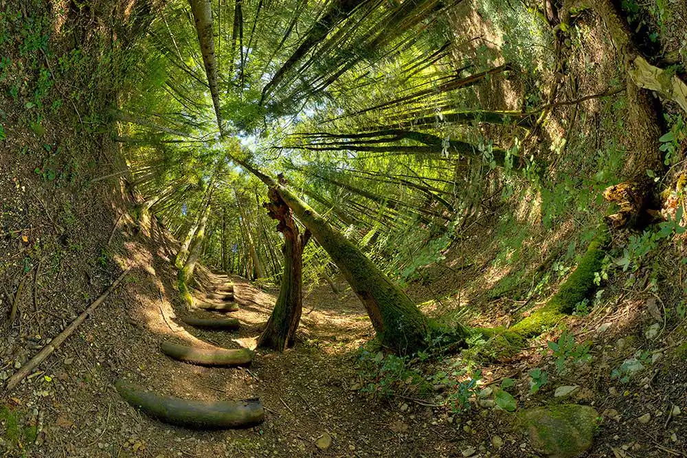 360 Visions | Patrick Jacquet