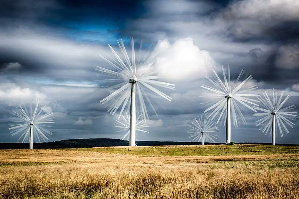 Drone Hill (Coldingham Moor)