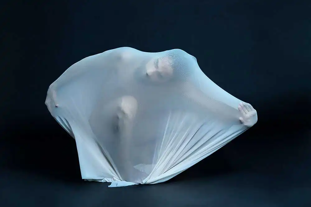 Chrysalis by Carlotta Gambato