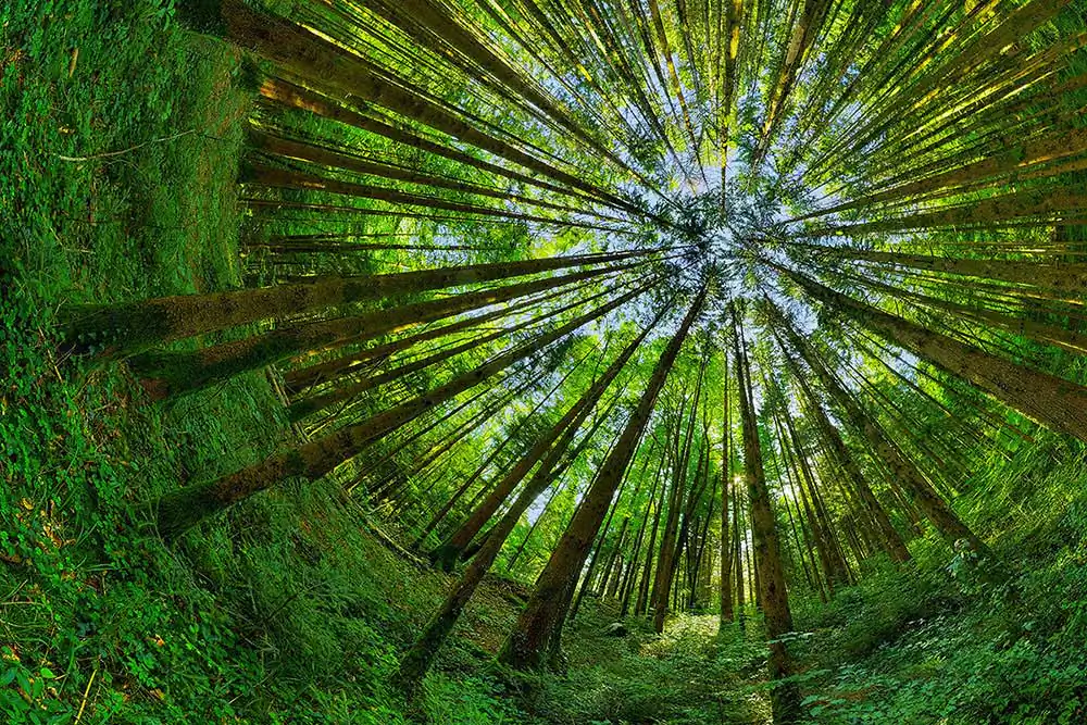 360 Visions | Patrick Jacquet