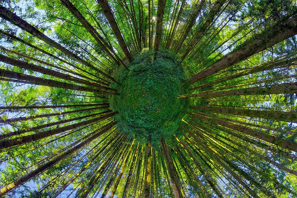 360 Visions | Patrick Jacquet