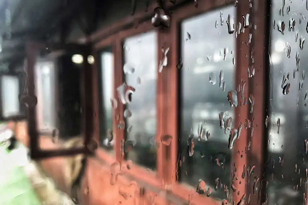 Hermanito | François Maurel