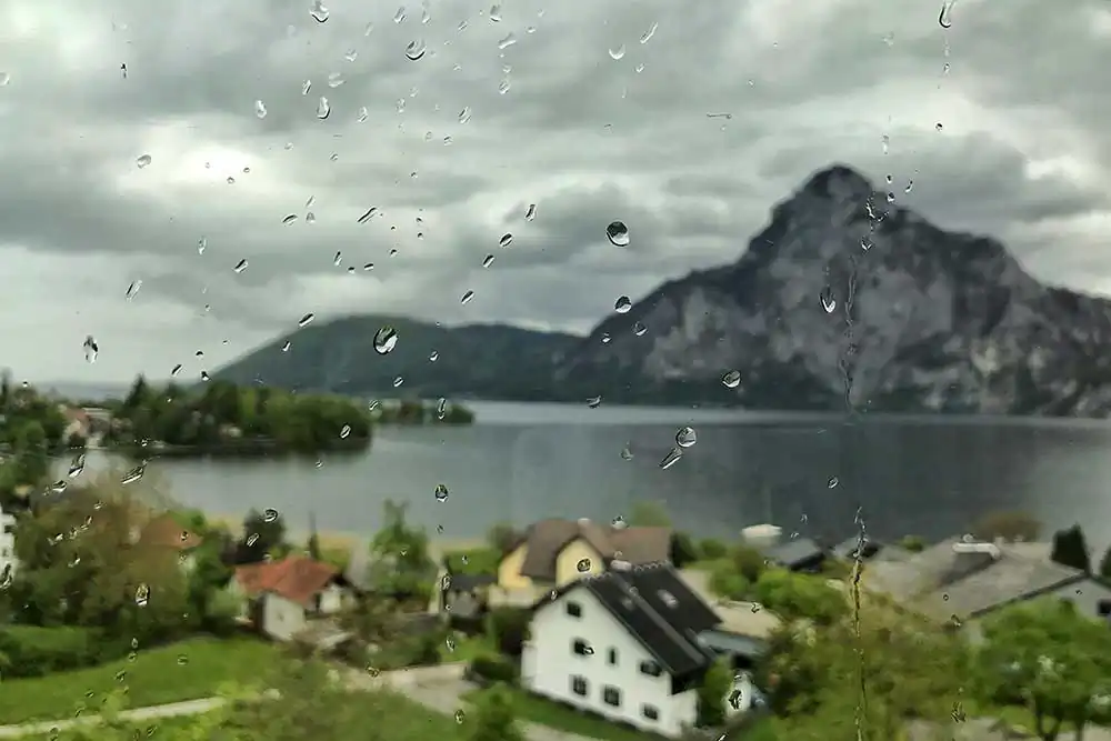 Windows by Sandipa Malakar