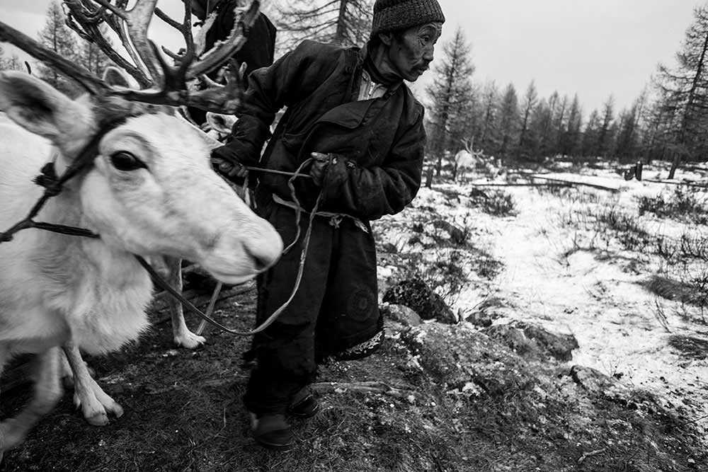 Tsaatan - The last reinder tribe | Matteo Maimone