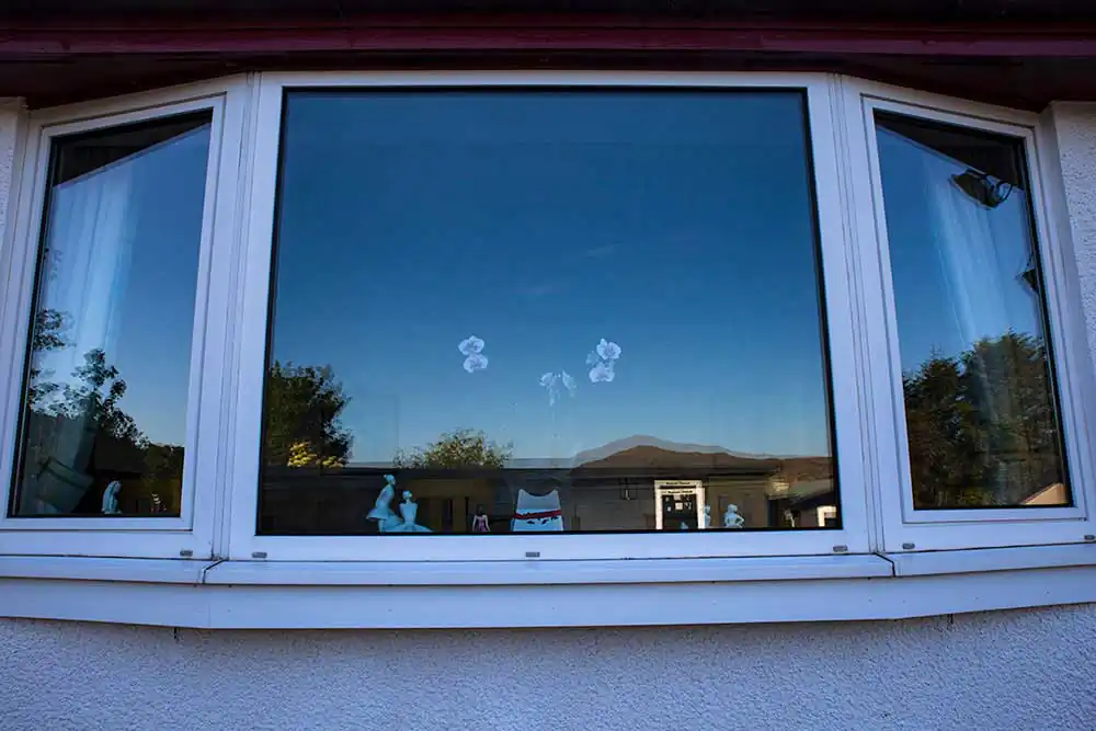 Hermanito | François Maurel