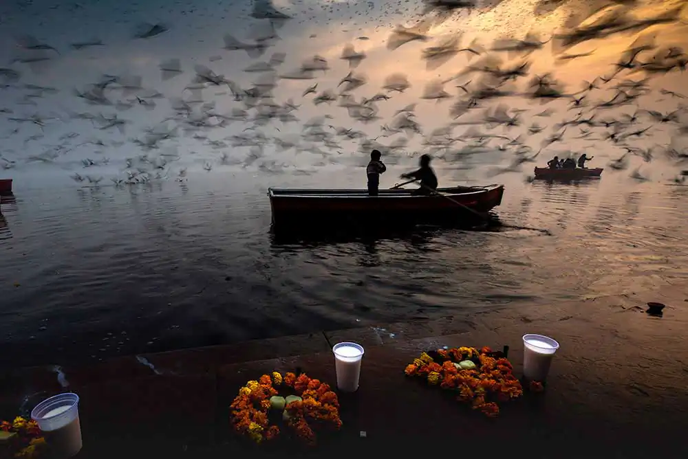 Death flows, hope floats, life flies by Sankar Sridhar