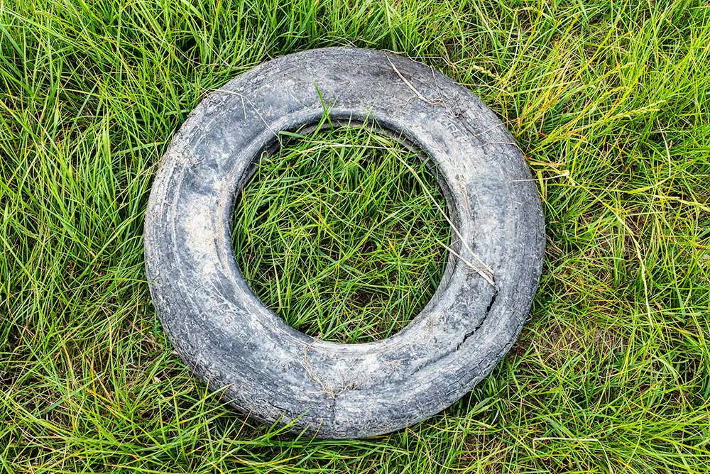 Guilty or Innocent? by Seigar