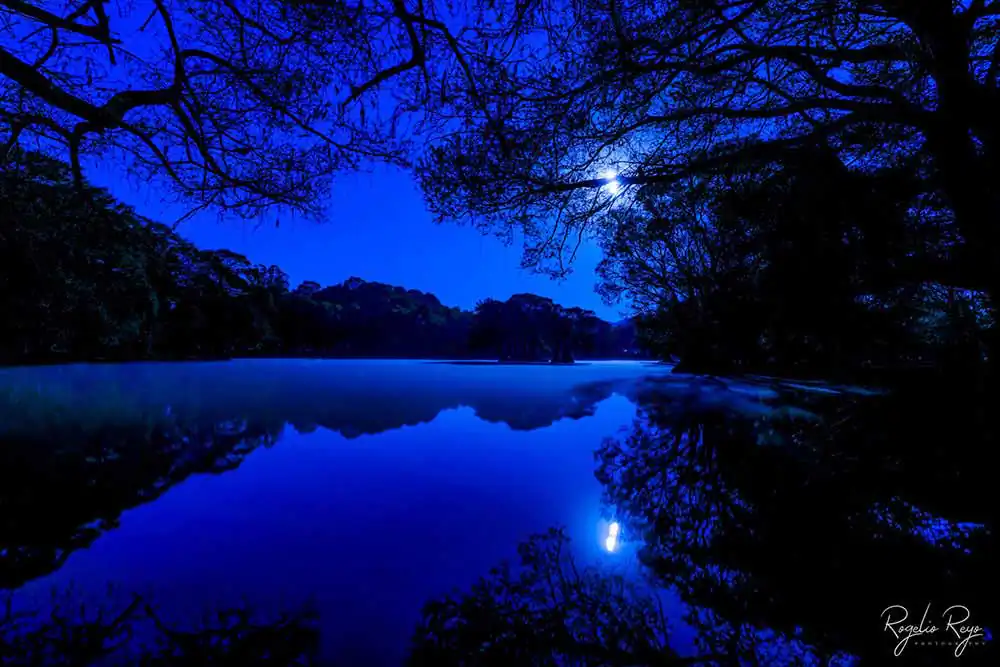 Your Best photo – Third challenge