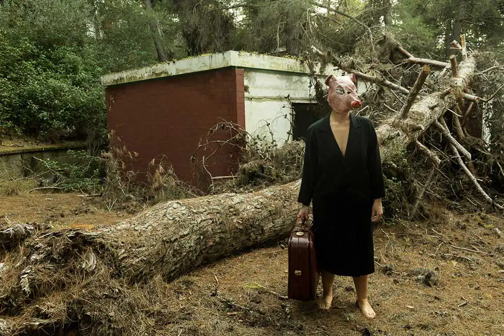 Shame by Sofia Dalamagka