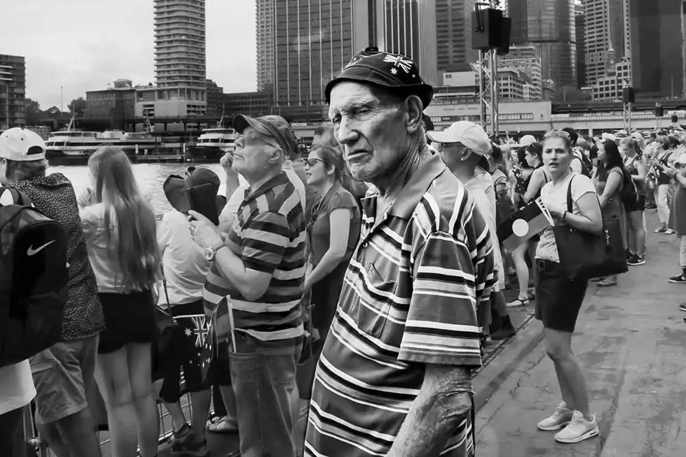 In Plain Sight | Bruce Haswell