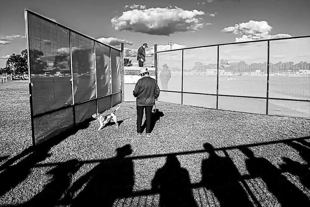 In Plain Sight | Bruce Haswell