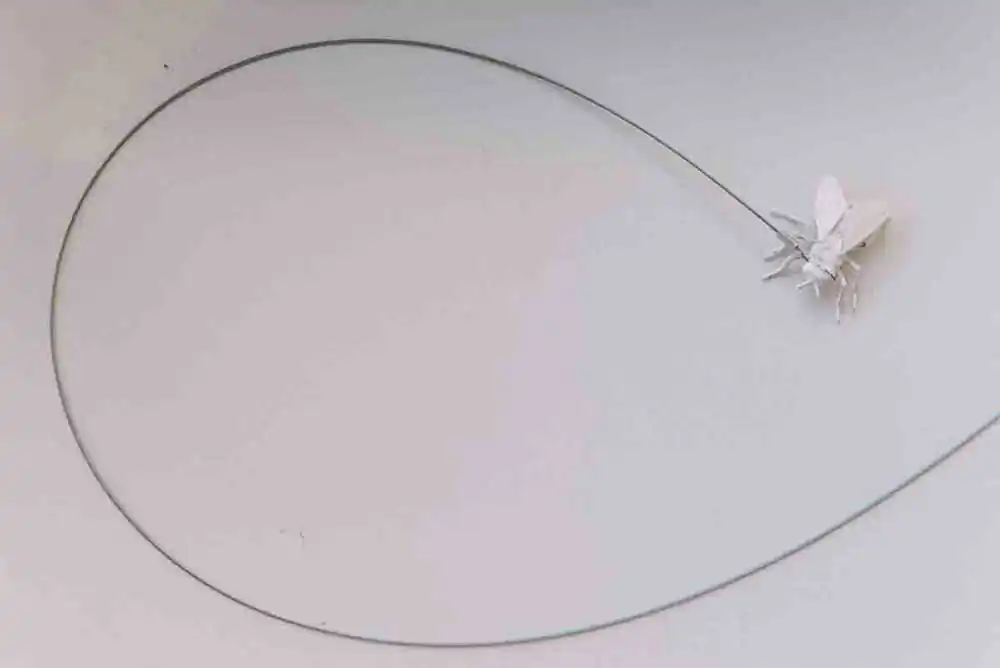 Government of childhood | Yuliya Pavlova