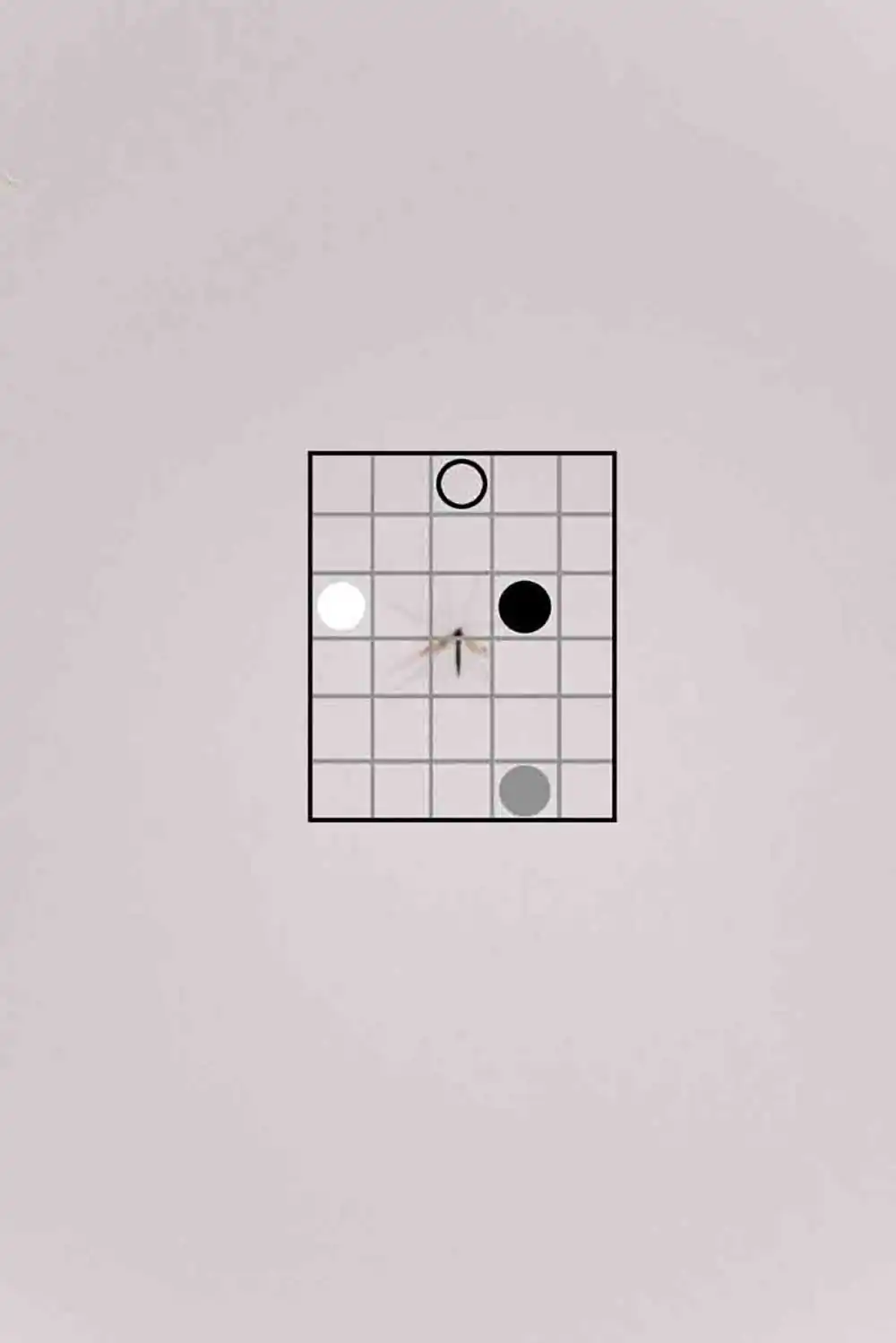 Government of childhood | Yuliya Pavlova