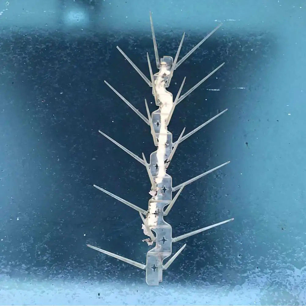 Someone’s Rubbish | Chloe Juno