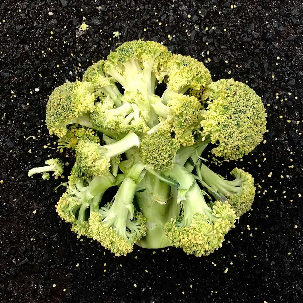 Someone’s Rubbish by Chloe Juno