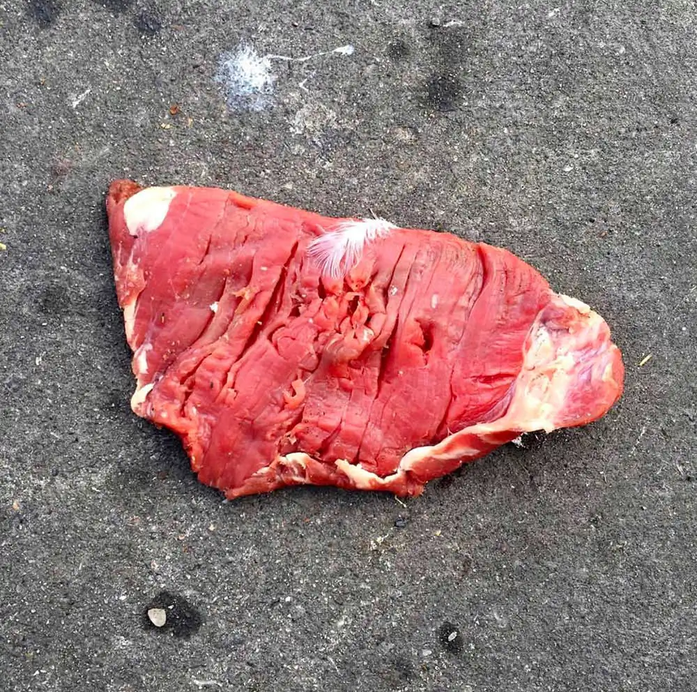 Someone’s Rubbish | Chloe Juno