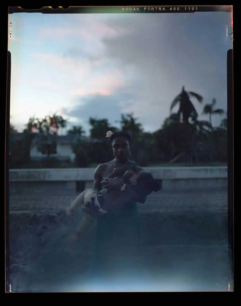 Stranger Fruit | Jon Henry