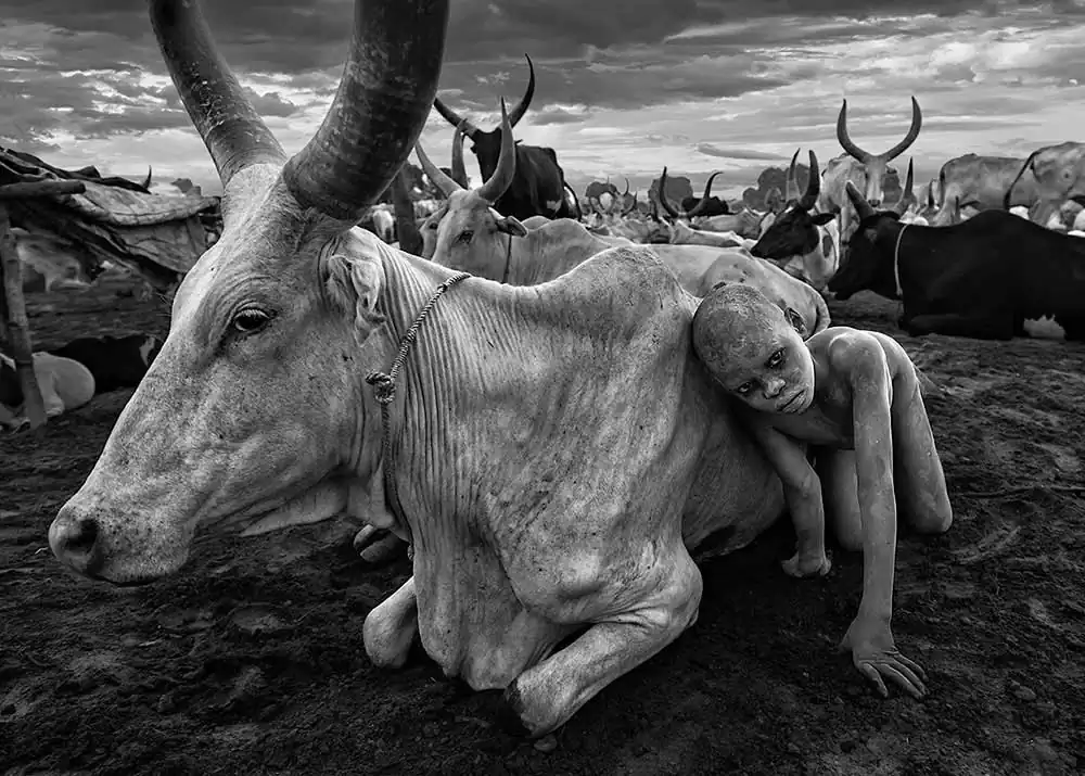 White Nile by Ana María Robles