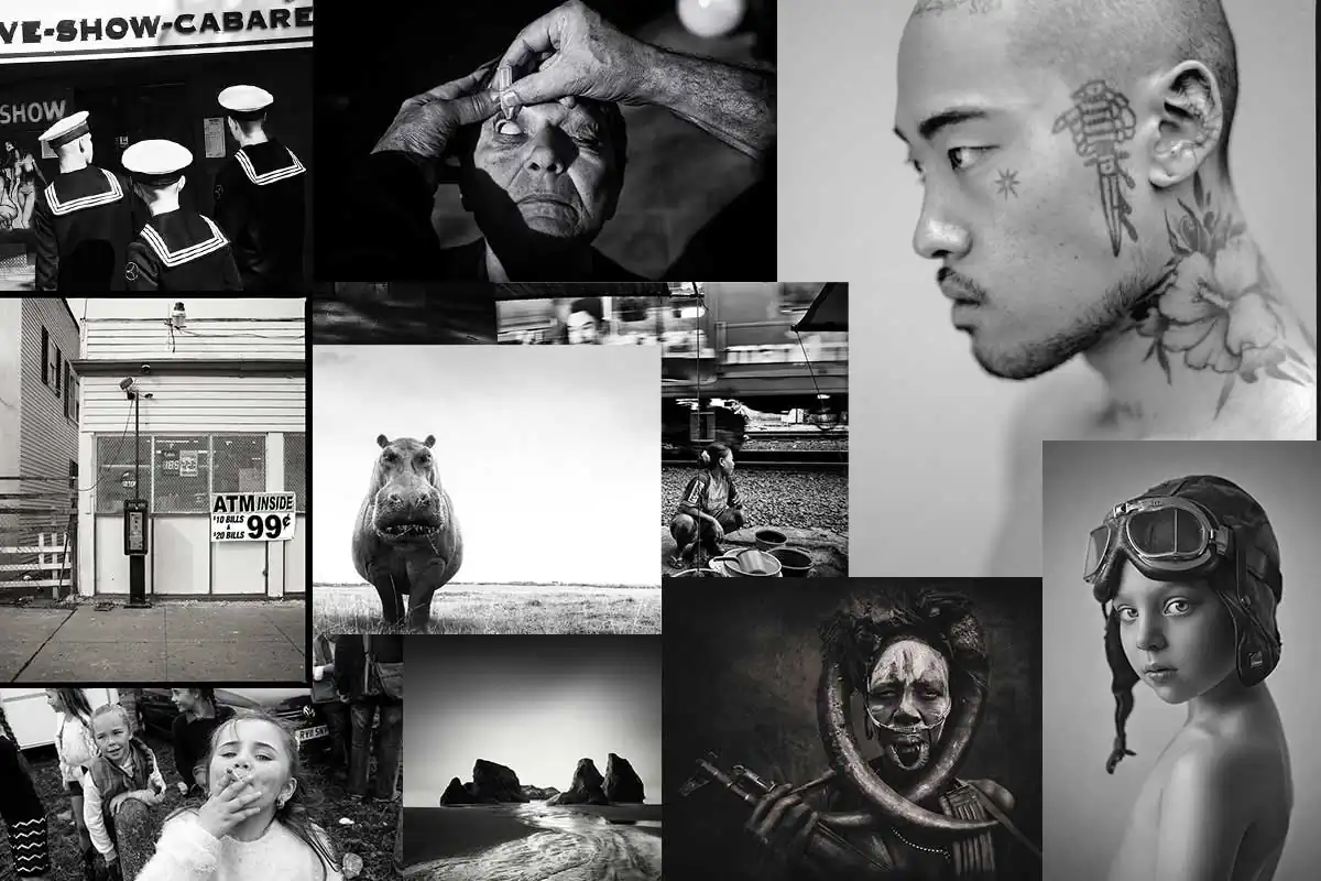 Announcement of the winners of Black & White Prizes 2019