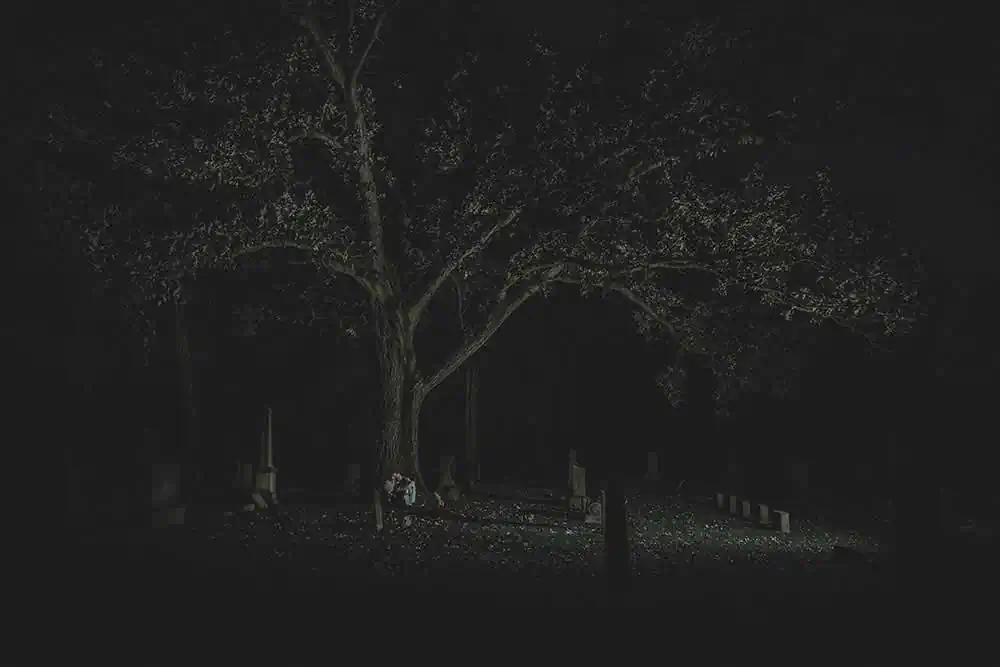 Moonlight | Thomas H P Jerusalem