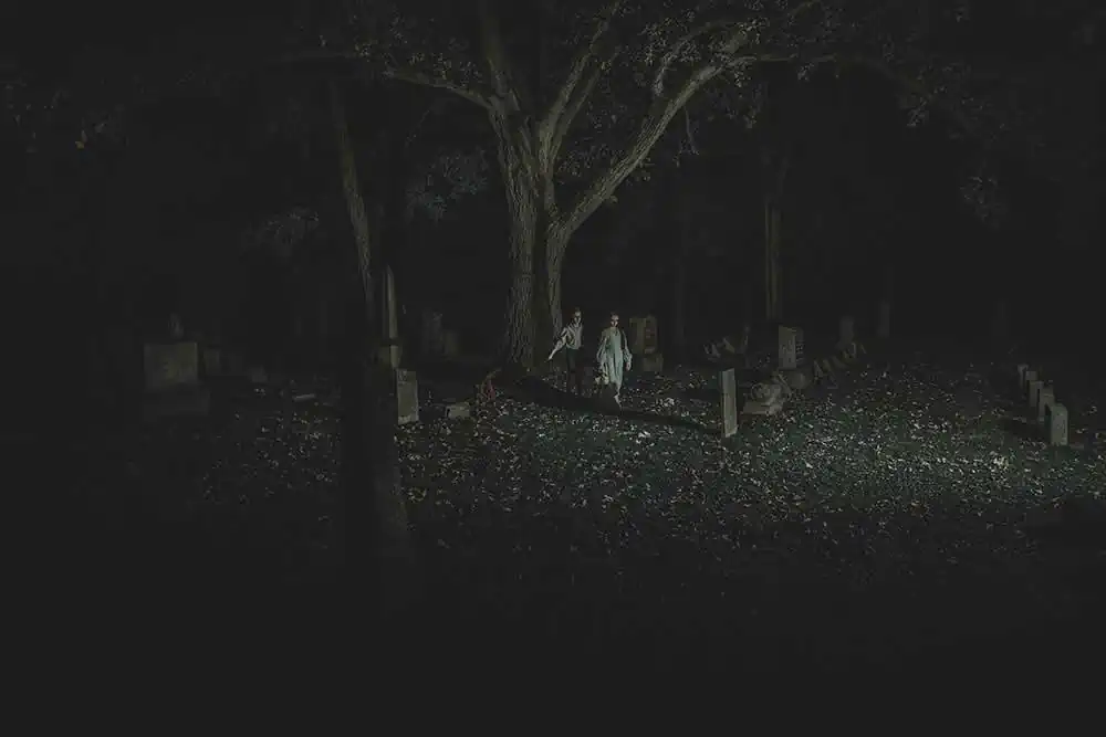 Moonlight | Thomas H P Jerusalem