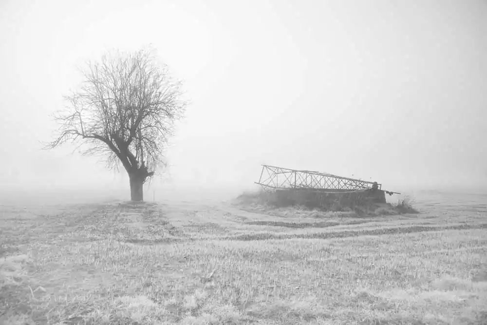 Gardens of Oblivion | Panos Charalampidis and Mary Chairetaki
