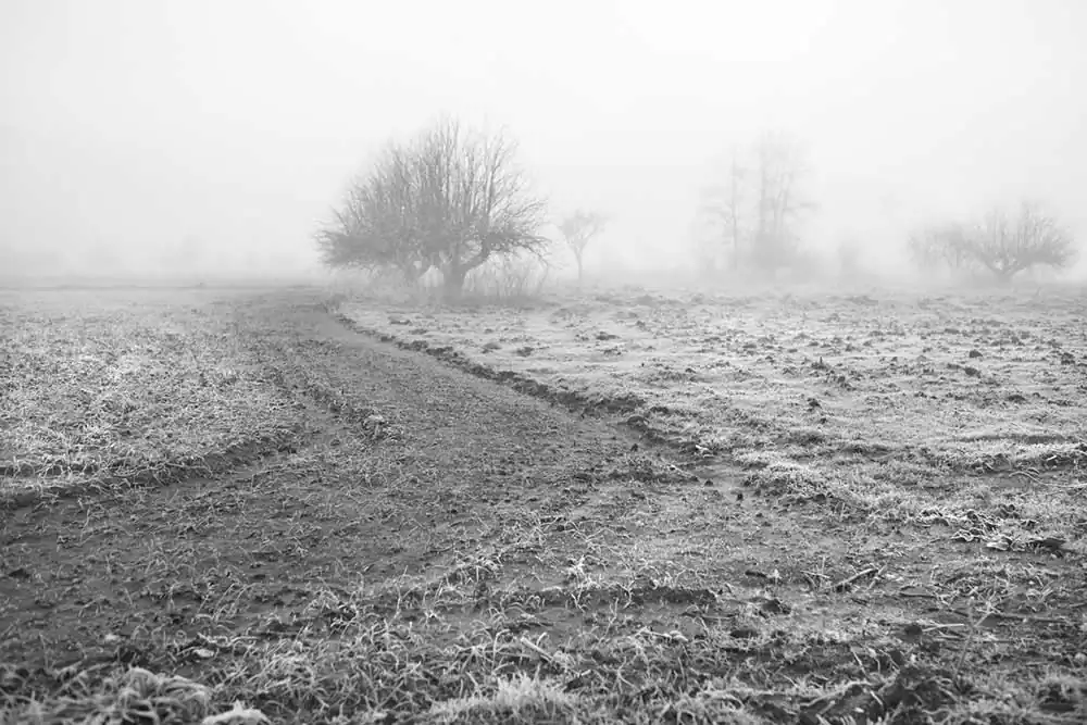 Gardens of Oblivion | Panos Charalampidis and Mary Chairetaki