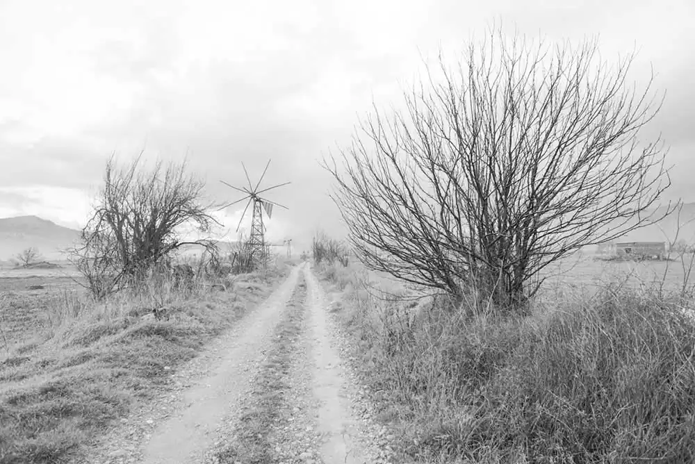 Gardens of Oblivion | Panos Charalampidis and Mary Chairetaki