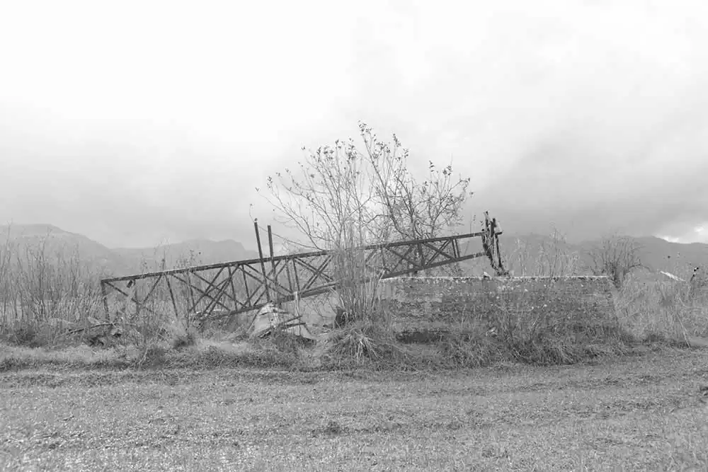 Gardens of Oblivion | Panos Charalampidis and Mary Chairetaki