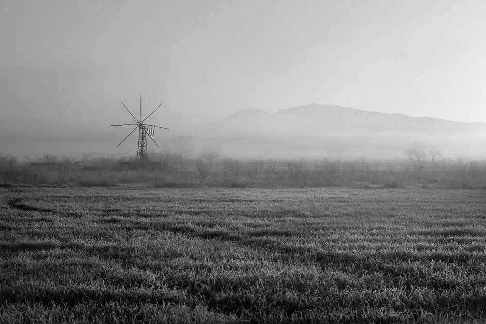 Gardens of Oblivion | Panos Charalampidis and Mary Chairetaki