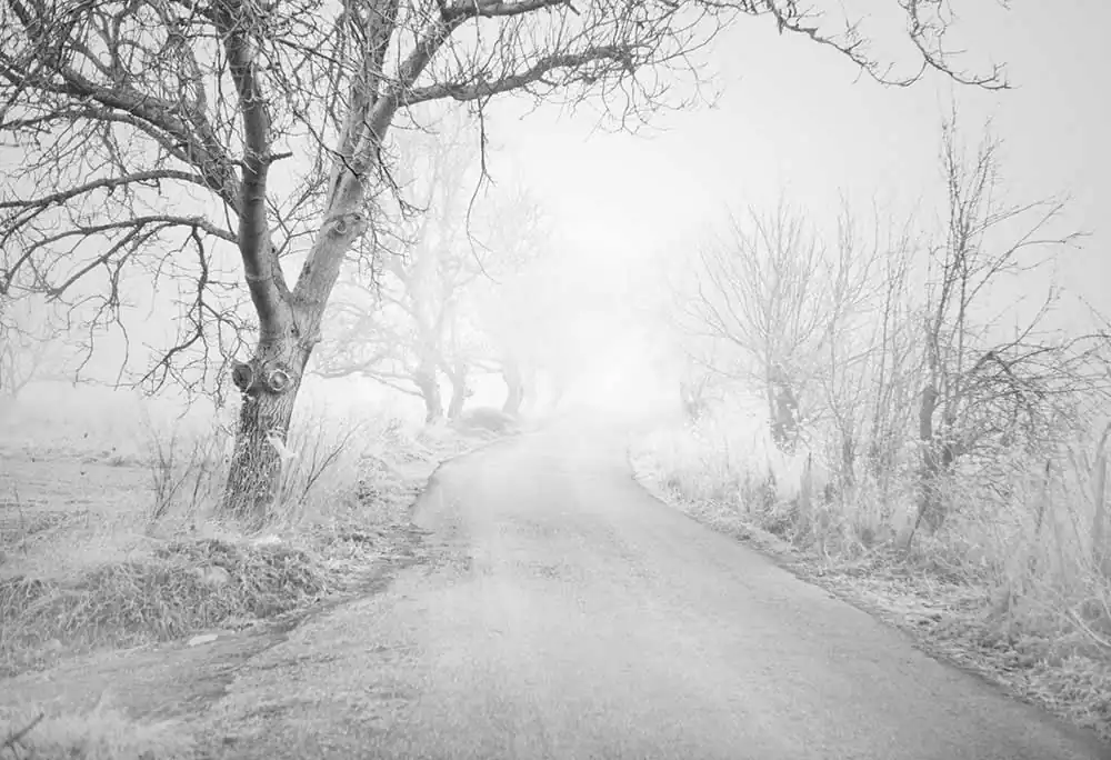 Gardens of Oblivion | Panos Charalampidis and Mary Chairetaki