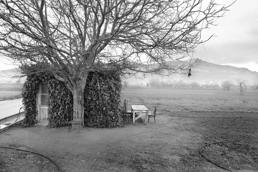 Gardens of Oblivion | Panos Charalampidis and Mary Chairetaki