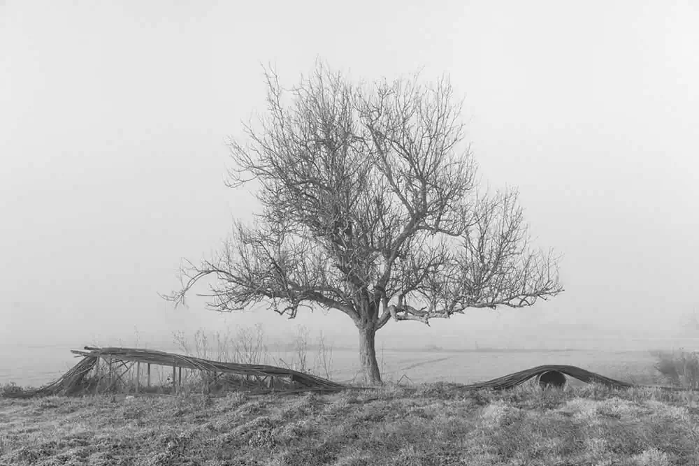Gardens of Oblivion | Panos Charalampidis and Mary Chairetaki