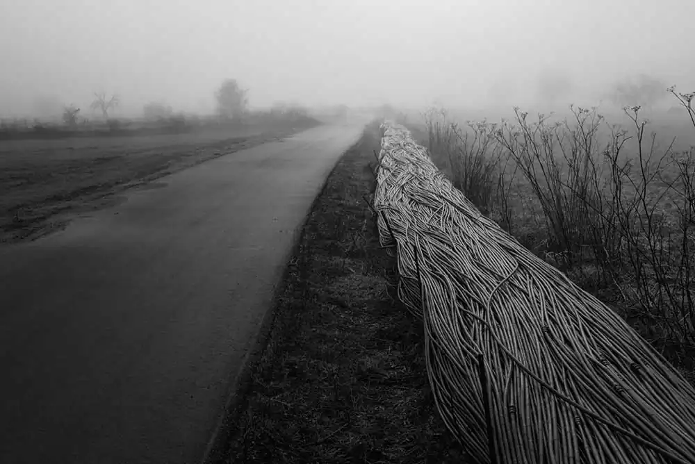 Gardens of Oblivion by Panos Charalampidis and Mary Chairetaki
