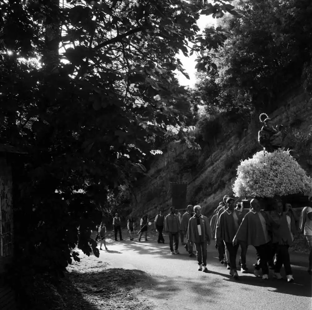 A Thousand Lilies | Margrieta Jeltema