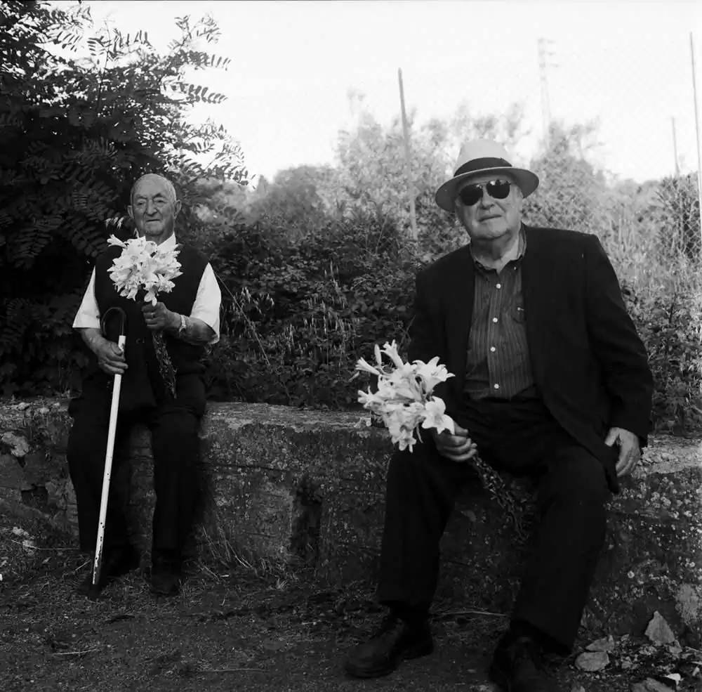 A Thousand Lilies by Margrieta Jeltema