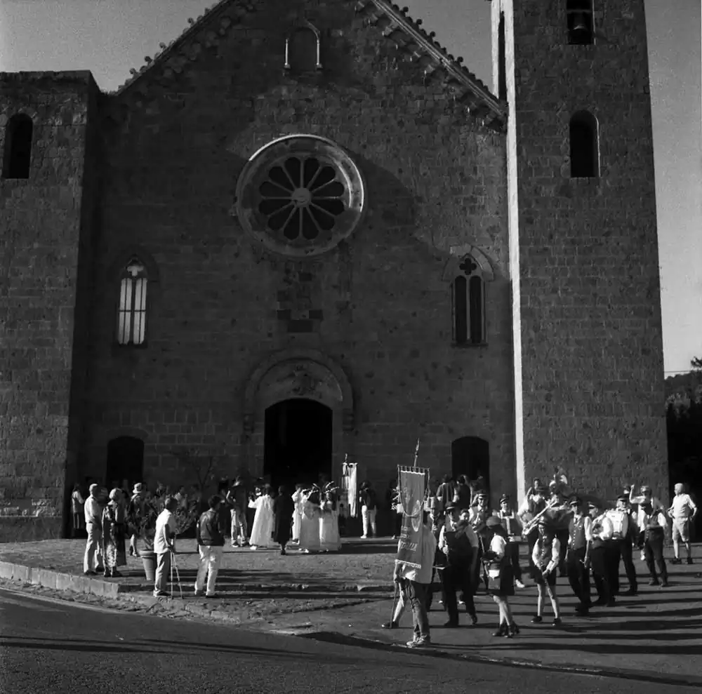 A Thousand Lilies | Margrieta Jeltema