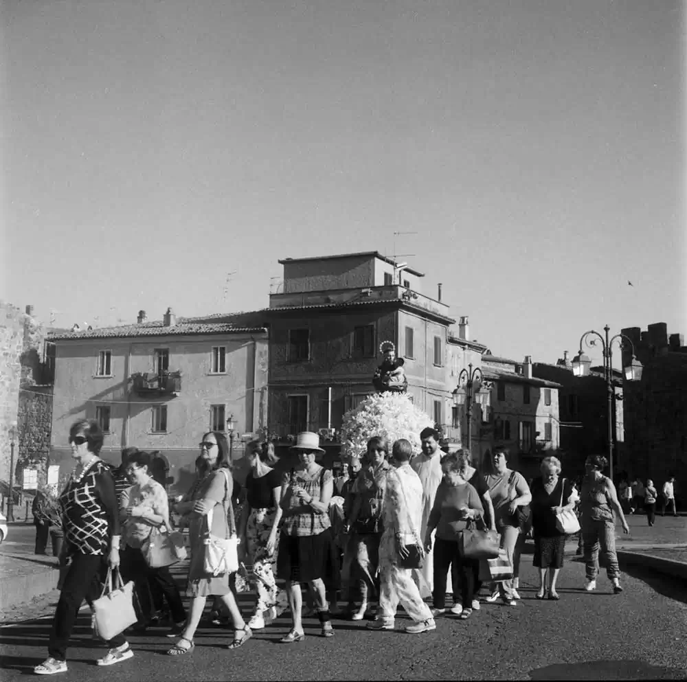 A Thousand Lilies | Margrieta Jeltema