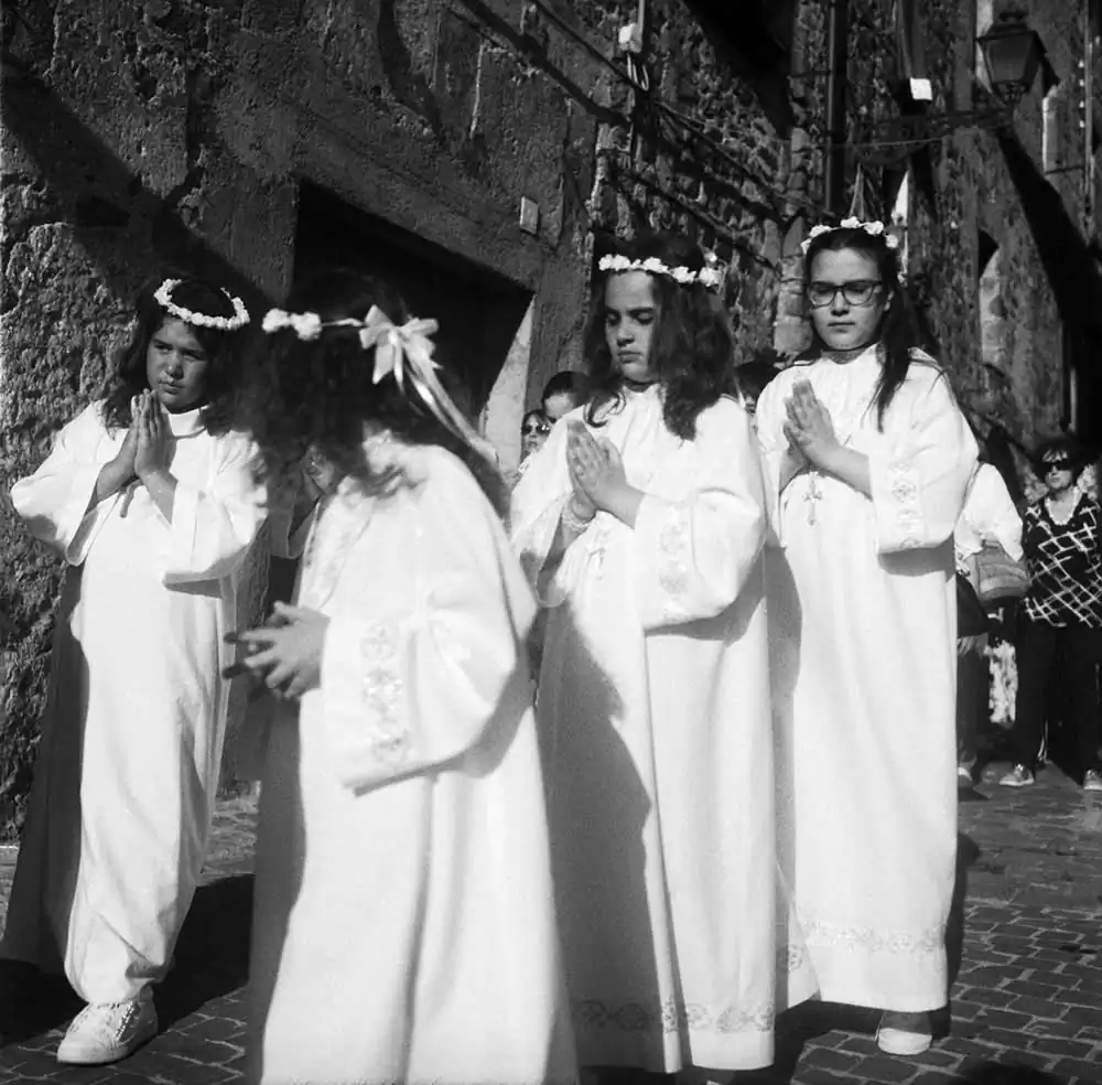 A Thousand Lilies | Margrieta Jeltema