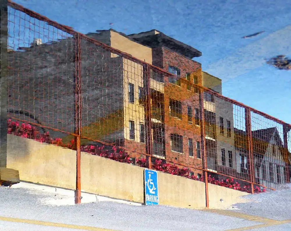 Liquid Mirrors: The Anomaly as Art