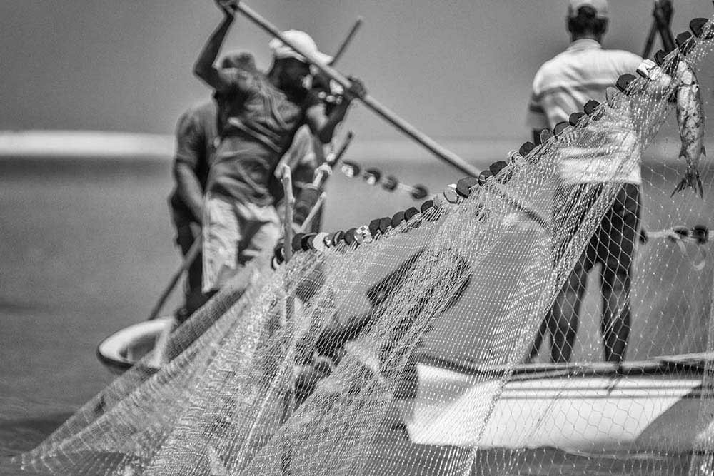 Net fishing in Rodrigues island | Pascal Lagesse