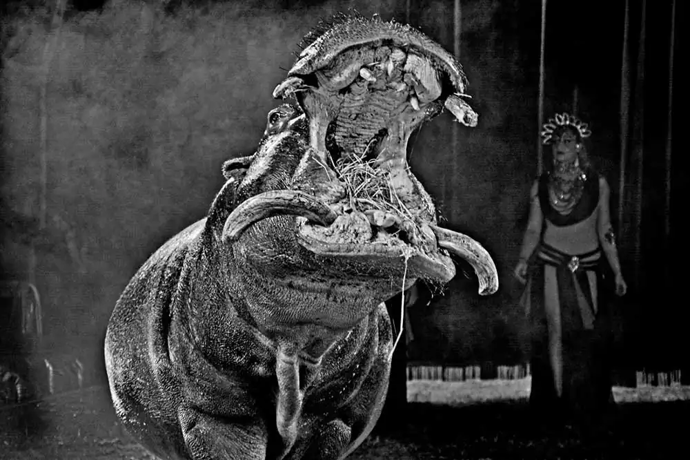 Circuses | Nicola Smaldore