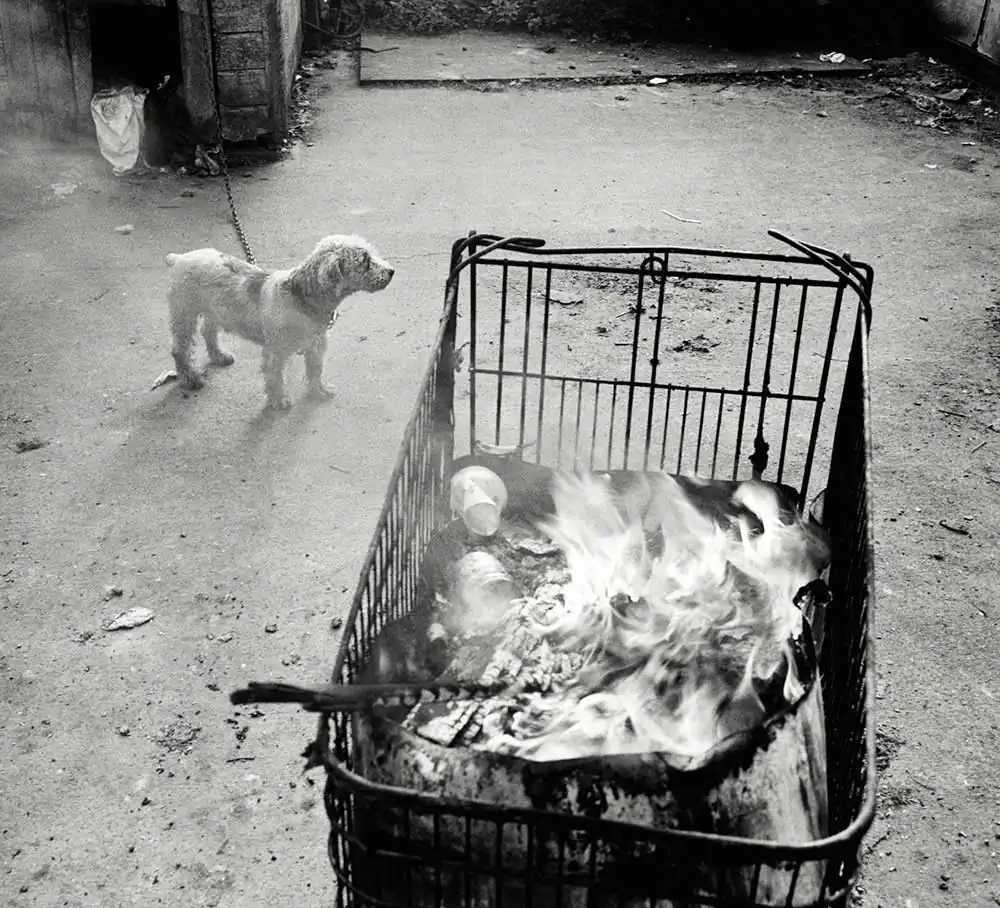 The Irish Travellers | Håkan Strand