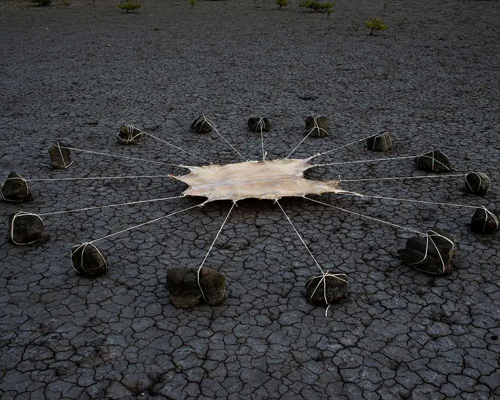 Ladja | Edu Monteiro